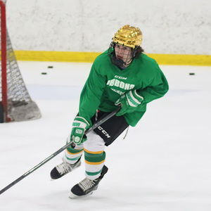 Meet your Posher, Leo